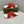 GG Striped Rubber Slides White Red Rubber 788222
