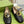 BLONDIE LOGO-PLAQUE LOAFERS IN BLACK CALFSKIN