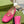 BLONDIE LOGO-PLAQUE LOAFERS IN BRIGHT PINK CALFSKIN