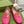 BLONDIE LOGO-PLAQUE LOAFERS IN BRIGHT PINK CALFSKIN