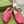 BLONDIE LOGO-PLAQUE LOAFERS IN BRIGHT PINK CALFSKIN