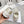 walkn 45 gold white oblique embroidery canvas