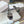 CD Mule Dway Slide 10mm Multi-motifs Style 5