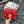 TRIPHOME TEEN 18 CHERRY RED COWHIDE LEATHER