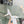 cd pump 65 transparent mesh embroidered white flower moitf