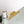 COLORFUL TRIPHOME 20 COWHIDE LEATHER