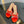 GG Kertu Sandals 6cm Beige Red Blue Raffia Leather 695687