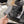 cc slingback sandal tripe strap 60 black canvas calfskin