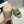 Loewe Anagram Padded Mule Green Sheepskin 246567