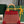 SAÏGON PM BAG 28 IN PERSIAN RED GOYARDINE CANVAS AND CALFSKIN