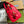 GG MARMONT MATELASSE 27 HANDBAG CHERRY RED CALFSKIN
