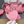 NEO CAGOLE 26 IN FLAMINGO PINK LAMBSKIN
