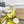 NEO CAGOLE 26 IN WATTLE YELLOW LAMBSKIN