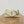 SL 26cm Calypso Chain Bag White Leather