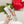 GG TRAINER SAGE CALFSKIN WITH FLOWERS PATTERN