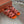 Sprightly Charms Sandal Piana Slippers Orange Pink Maroon Calfskin