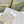 Jimmy Mule In White Mesh Fabric With Swarovski Crystal 597884