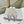 Jimmy Mule In White Mesh Fabric With Swarovski Crystal 597884