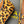 Alaia 25 Mary Jane Ballet Flat Leopard Calfskin 293239