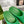 GC 25 50mm Monogram Slide Sandal Green Cowhide 292390