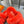 HM Chypre Sandal Red Orange Fleece Wool  953868