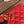 cc zipped wallet 14cm red caviar gold hardware