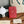 CC 22A Zippy Coin Purse Red Caviar GHW 223914