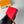 LV M60740 Portamonete Zippy in pelle monogrammata rossa 221610