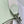 Evelyne 29cm Glacial Green Togo Silver Hardware