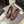 CC 26s Ballet Flat Mulberry Purple Lambskin