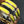 H Pig Nose Yellow Bracelet