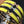 H Pig Nose Yellow Bracelet