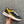 LP BRUNELLO SNEAKERS MULTI - VITELLO A RETE ANTRACITE E NAVY