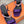 hm glamour 95 violet silk fabric black calfskin
