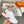 GIGA SNEAKER ORANGE MIX WHITE CALFSKIN