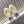 GIGA SNEAKER YELLOW MIX WHITE CALFSKIN