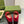 BLONDIE LOGO-PLAQUE LOAFERS IN CRIMSON RED SUEDE