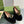 BLONDIE LOGO-PLAQUE LOAFERS IN BLACK SUEDE