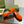 BLONDIE LOGO-PLAQUE LOAFERS IN TIGER ORANGE SUEDE