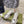GG ACE GG SUPREME TRAINER PELLE DI VITELLO ARGENTO