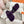 chypre sandal purple lamb wool