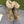 Gucci 2025 Monogram Boot Ebony Beige Canvas Wool 564788