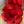 ZAINO ALTO 42 IN TESSUTO JACQUARD ROSSO CILIEGIA