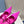 PRA HIGH-HEELED MULES BRIGHT PINK SATIN