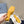 PRA SQUARE TOE MULES YELLOW SATIN