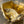 GOLDEN KNOT 19 IN GOLDEN LAMBSKIN