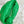 mini jodie 28 pelle di agnello verde 