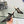 CD 25 Capture Heeled Mule Black Mesh