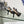 CD 25 Slingback Pump Black Transparent Mesh