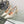 CD 25 Slingback Pump Cream Transparent Mesh